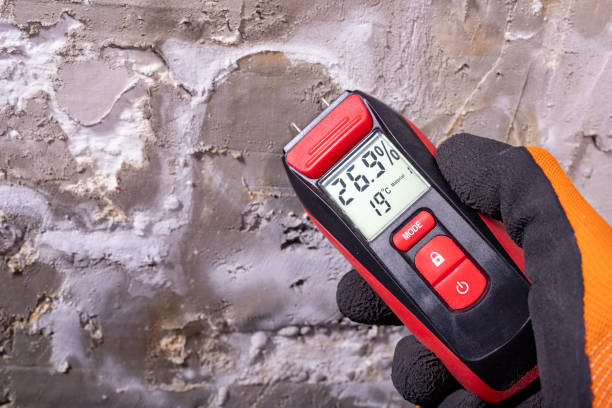 Best Attic Mold Remediation in Wilkesboro, NC